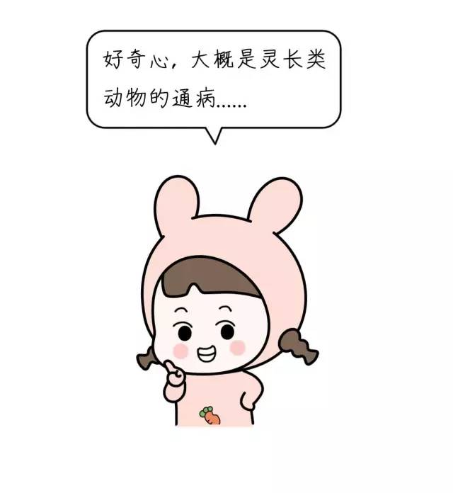 《2017奇葩搜索报告》出炉，排第一的你肯定偷偷搜过！