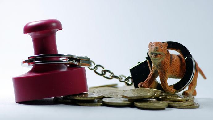 亮相央视,任何人都不要心存侥幸|孙政才|党纪国