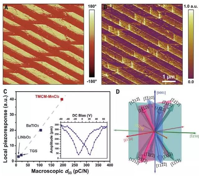 有机无机钙钛矿分子压电材料研究获进展|托莱