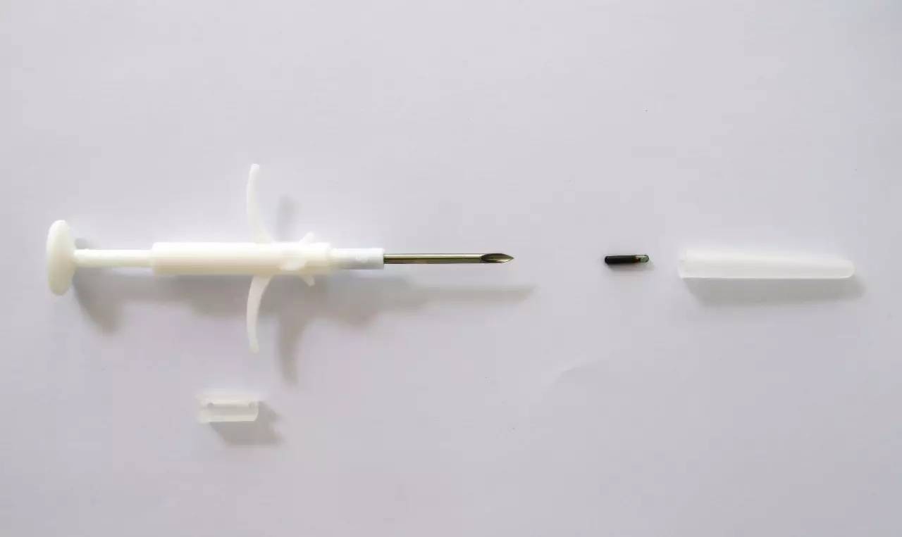 【便民】狗狗如何办免疫证明?官方流程来了(附