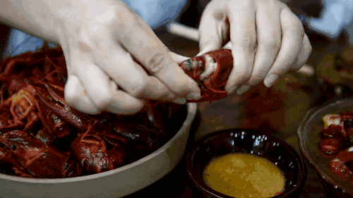 福利| 客栈里的泉水清虾,有白沙井水的清甜滋味