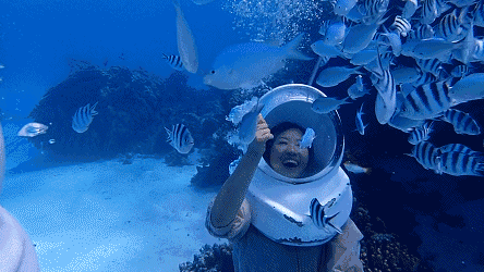 如果体验深潜,那么壮观的海底世界会让你大开眼界,享受跟鱼儿一起畅游