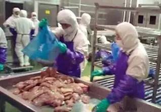 全球媒体炸了!麦当劳最大食品丑闻曝光!我们吃