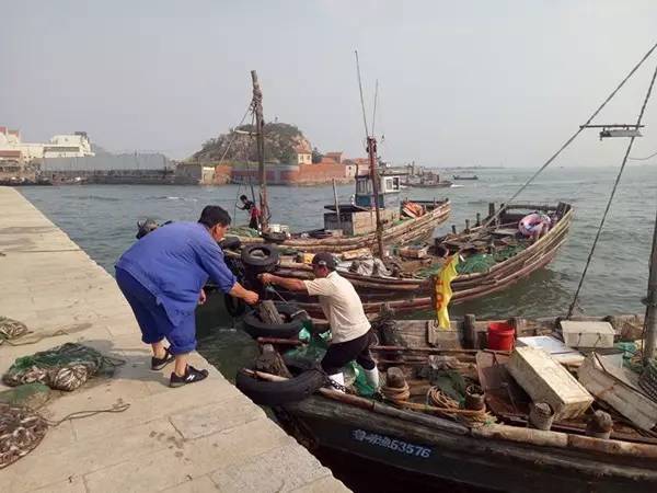 你知道吗?咱青岛人吃的好多海鲜,是这3000名