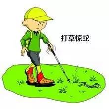 双阳一男子被蛇咬 全市寻找血清,了解这些,