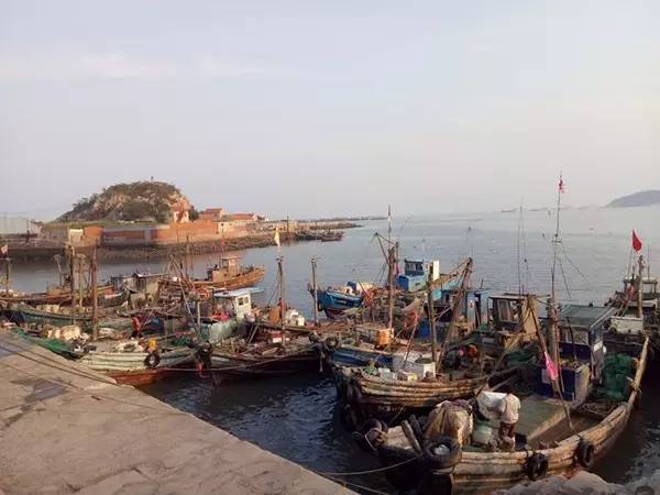 你知道吗?咱青岛人吃的好多海鲜,是这3000名