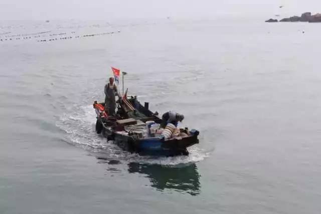 你知道吗?咱青岛人吃的好多海鲜,是这3000名