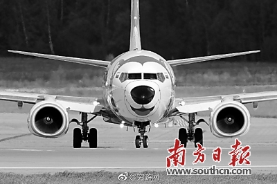 感觉太胖飞不起来|哈士奇|哈奇士|狗