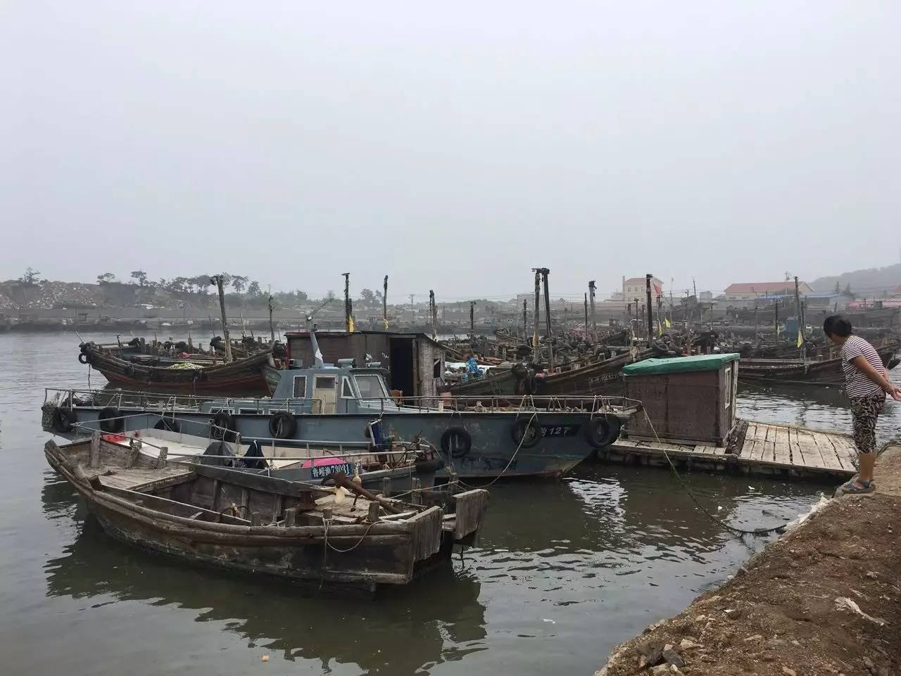 你知道吗?咱青岛人吃的好多海鲜,是这3000名