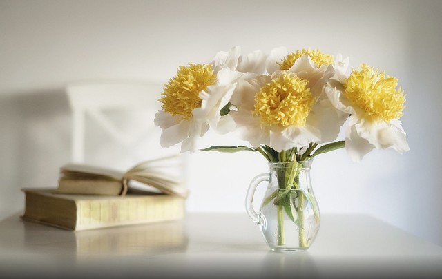 看完这篇 摄影新手也能轻松玩转单反|佳能|摄影