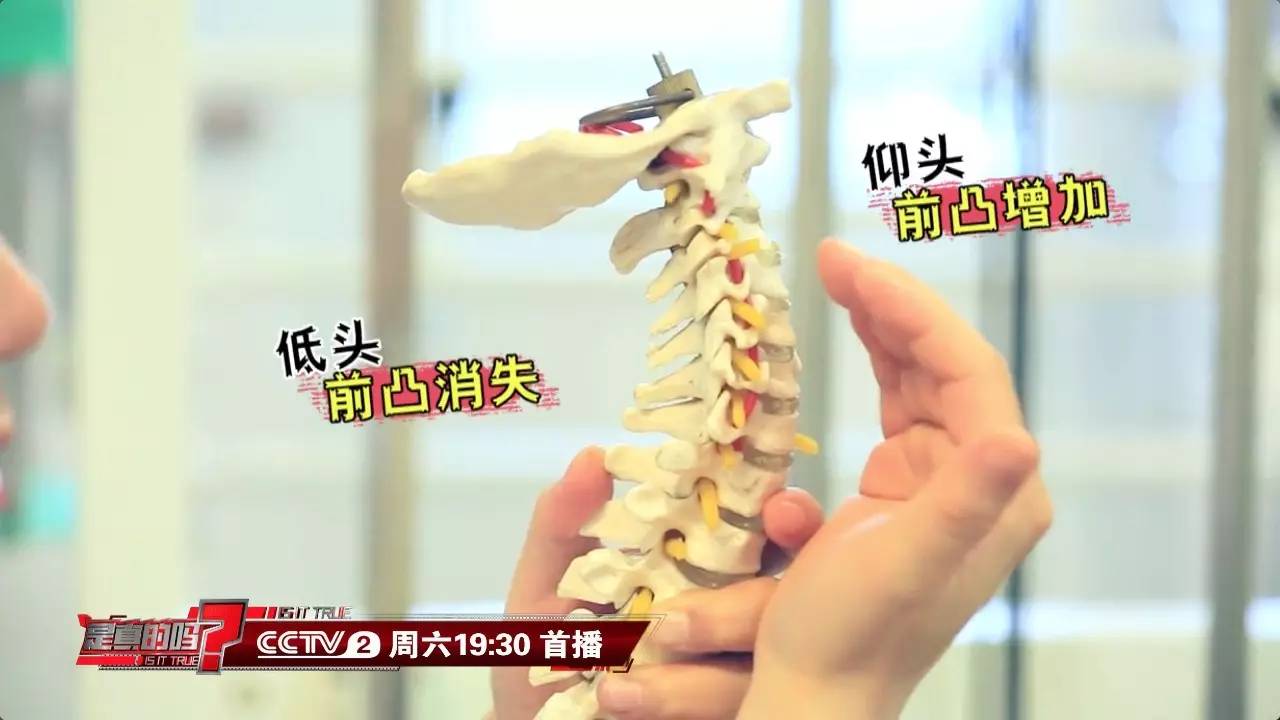 仅是用来枕头的吗?当心!这种枕头越睡身体毛