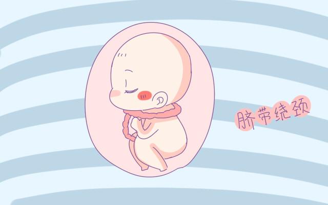 0q8Q-fyinvwu3718750.jpg