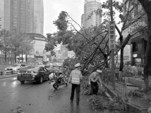狂风暴雨突袭重庆 今明雷雨相伴