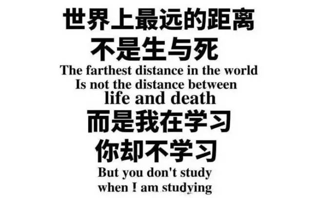 高校新规:本科不努力毕业成专科!网友都吵翻了