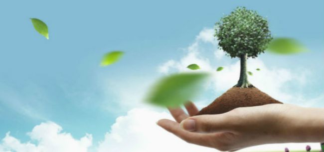 税务总局和环保部建立环境保护税征管协作机制