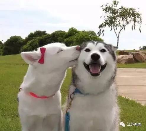 秀恩爱还是要注意场合
