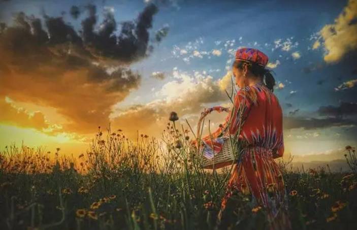 9月,沈阳将开三趟丝绸之路旅游列车!开向莫高