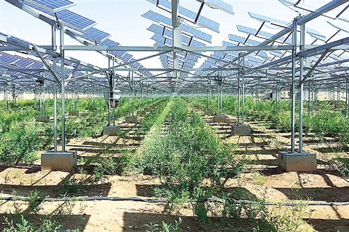 解析库布其治沙模式|库布其沙漠|王文彪|联合国