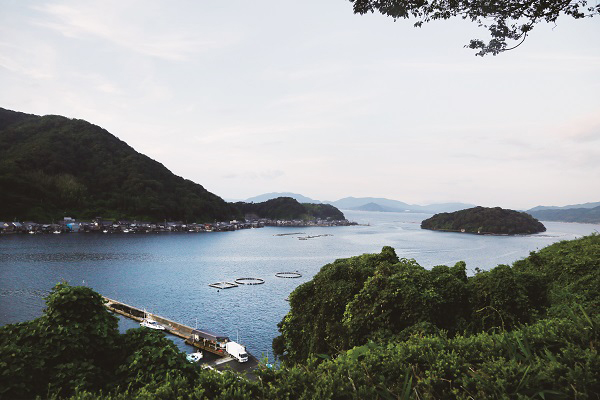 伊根町秘境:在日本最美的渔村度过一日|伊根|半