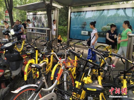 资料图：共享单车。中新社记者 刘关关 摄