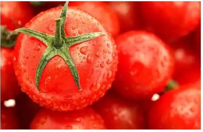 美国人不吃专卖中国人?转基因食品影响子孙后