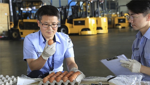 感引发鸡蛋涨价供货短缺 韩国取消进口关税|禽