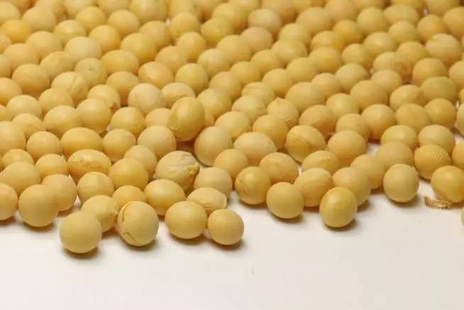 美国人不吃专卖中国人?转基因食品影响子孙后