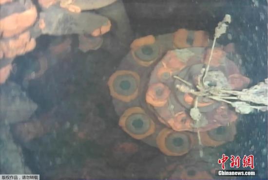 联合国官员:福岛核事故作业人员防辐射措施不充分