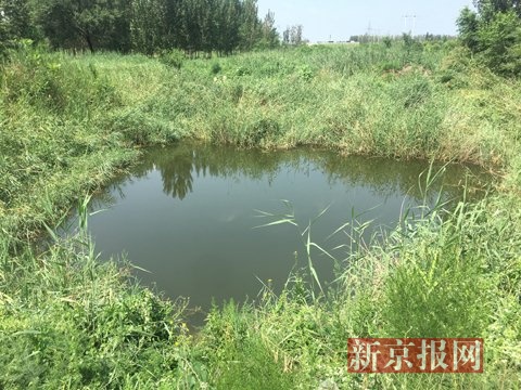  发现李文星尸体的水坑。新京报记者 李明 摄