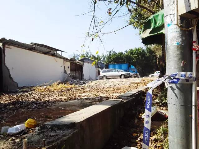 深圳花卉世界今起全面封园!这里承载了很多深