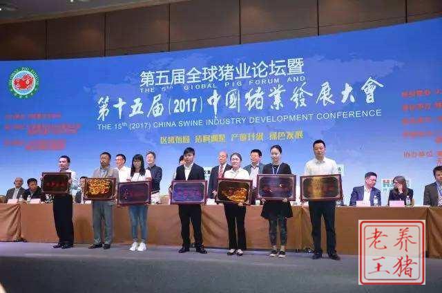 2017年养猪人的的最终出路到底在哪里?|农产品