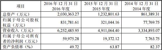 大生集团最近三年主要财务数据