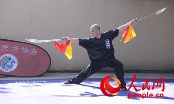 2017南非全国武术比赛在约翰内斯堡举办|南非