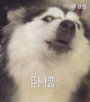 继张学友后,又一歌神走上了表情包的不归路!下半年斗图全靠他了