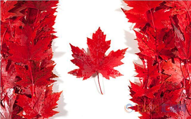 楼市泡沫破裂?多伦多房价创有纪录以来最大环