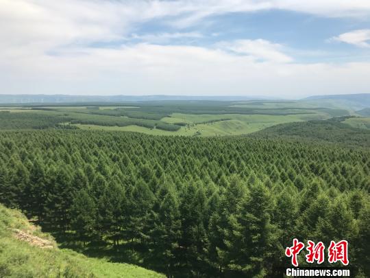 塞罕坝:中国如何造就生态“奇迹岭”|塞罕坝|林场|造林_新浪新闻