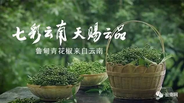 央视免费打广告!云南好货惊艳亮相 8大类100