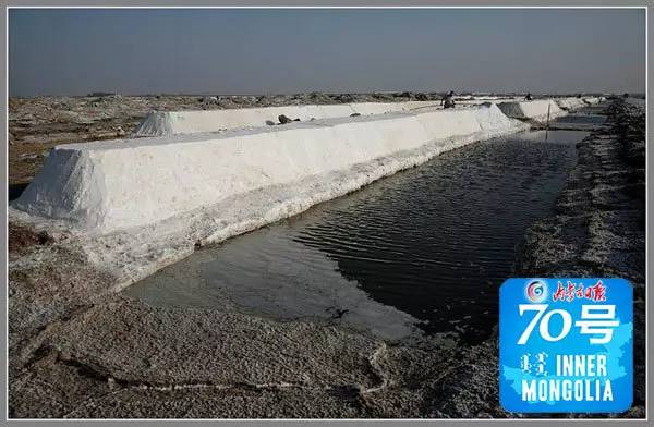 之最 | 全国最大的机械化湖盐场|内蒙古|盐湖|吉兰泰