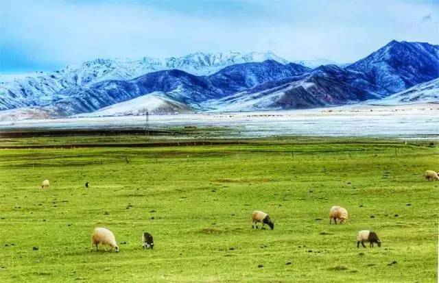 守护生命之源,广汽传祺接受三江源使命召唤