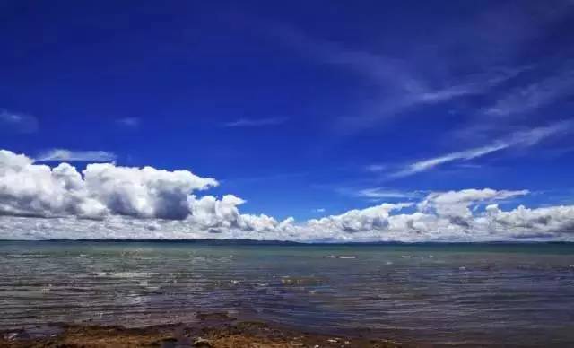 守护生命之源,广汽传祺接受三江源使命召唤