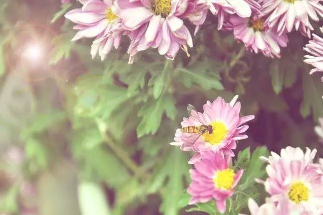 2017.08.05| 沈阳停车收费标准拟做调整,常在这