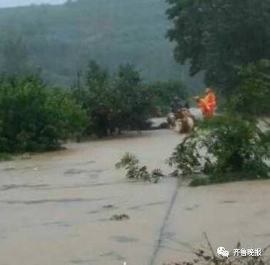 大旱三年的莱阳再遭大暴雨袭城!洪水倒灌西瓜