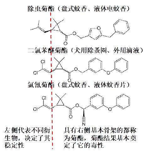 点完蚊香后,我家猫反应有点儿怪…是的,它中毒