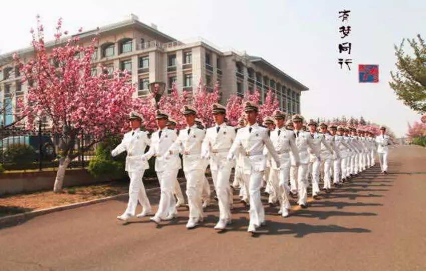 3年1244个昼夜海军航空大学青岛校区发生了什么变化