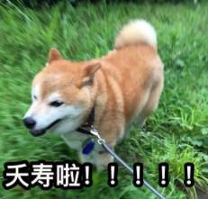 婚礼都办了,夫妻却因房产证闹掰!女方引产,男方