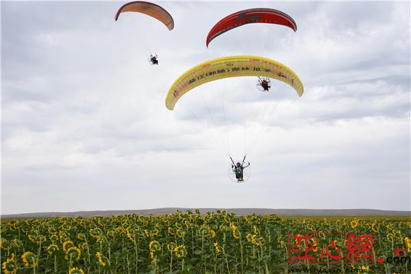 新疆福海县携手杨凌示范区 打造中国高纬度农