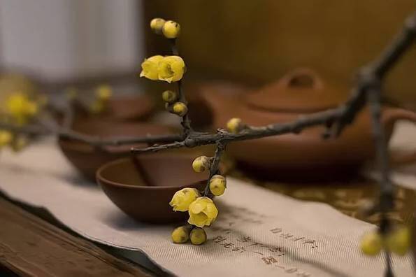 最完整的诗语知识大全(果断收藏)|平仄|律诗|近体诗