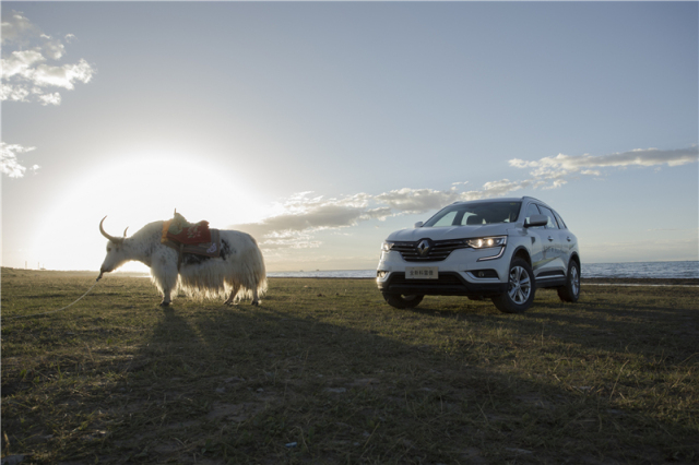 【公摄】情系措温布