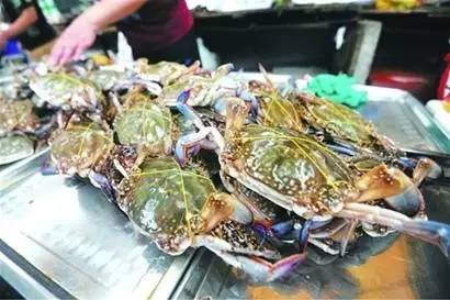 吃货注意!一大波南方梭蟹抢滩青岛!你怀念的会