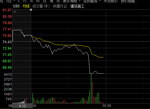 杭州园林闪崩 股价快速跌停|杭州园林|股价|发